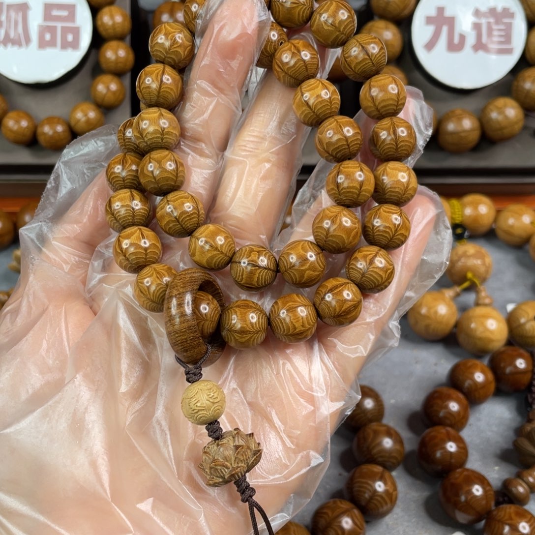 六道木黄金底， 毕业1.2