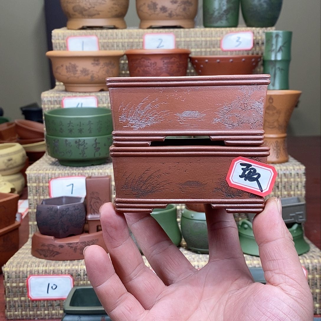 紫砂花盆我在等一