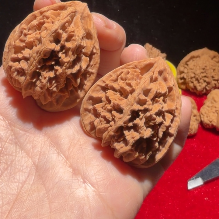 核桃状元冠精对手把件