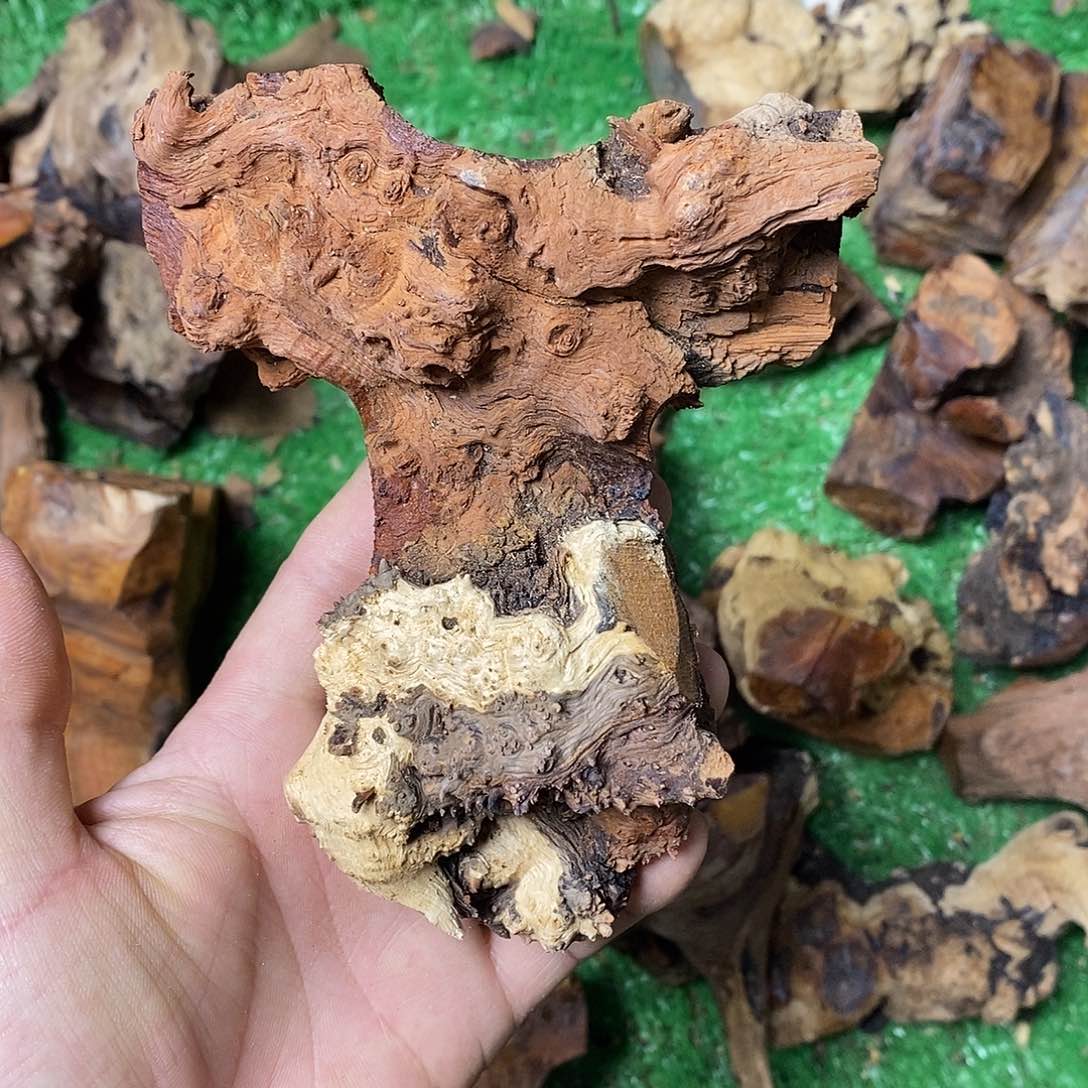 麻利疙瘩乐*283886