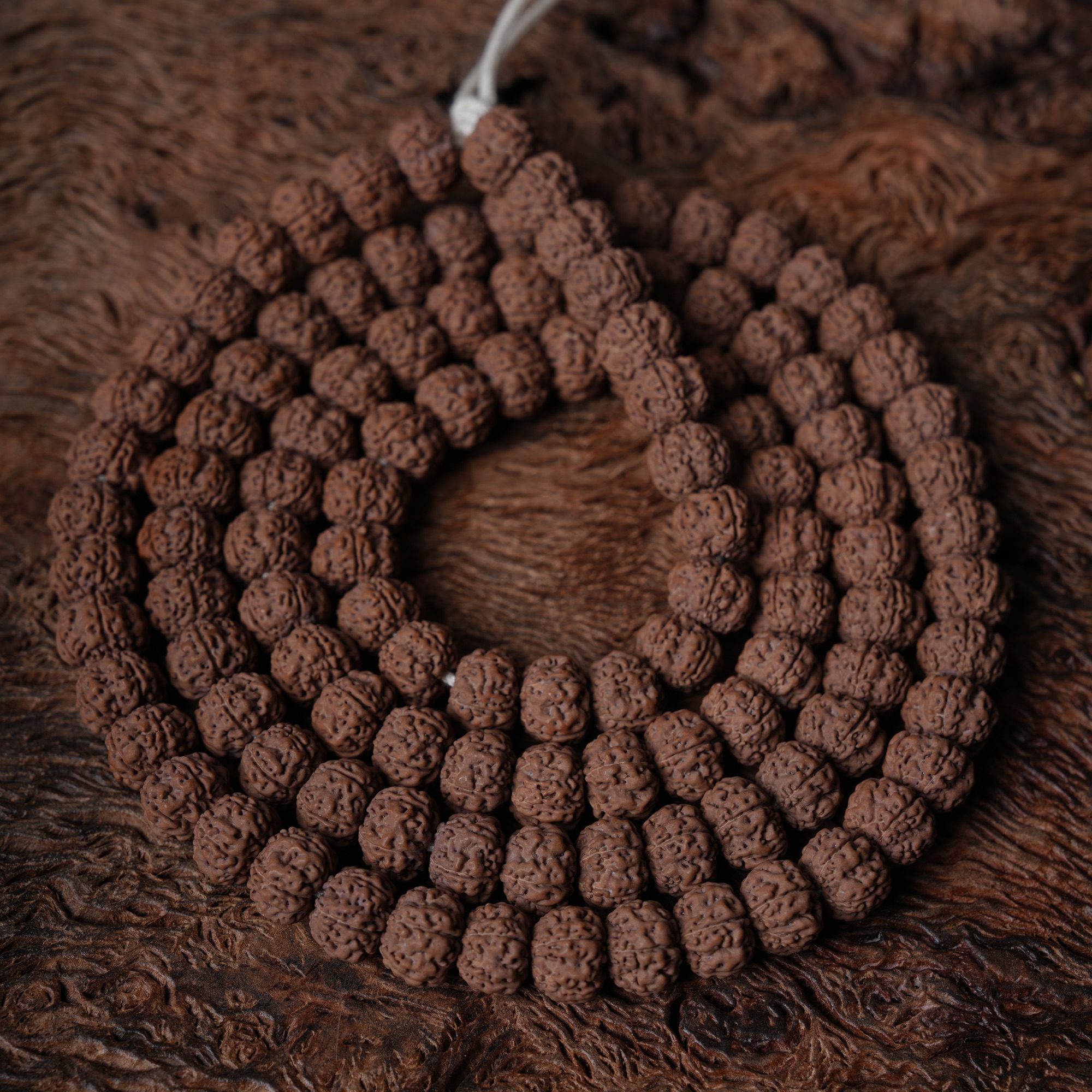 A339特价地表平细长串金刚菩提长串尺寸10-11+mm