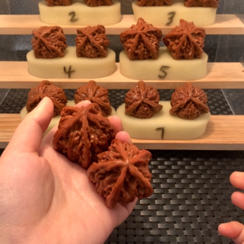 吊坠猴头核桃晨**年五棱