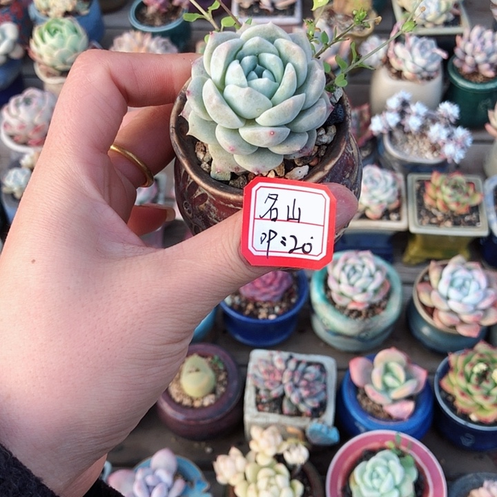 名山              带