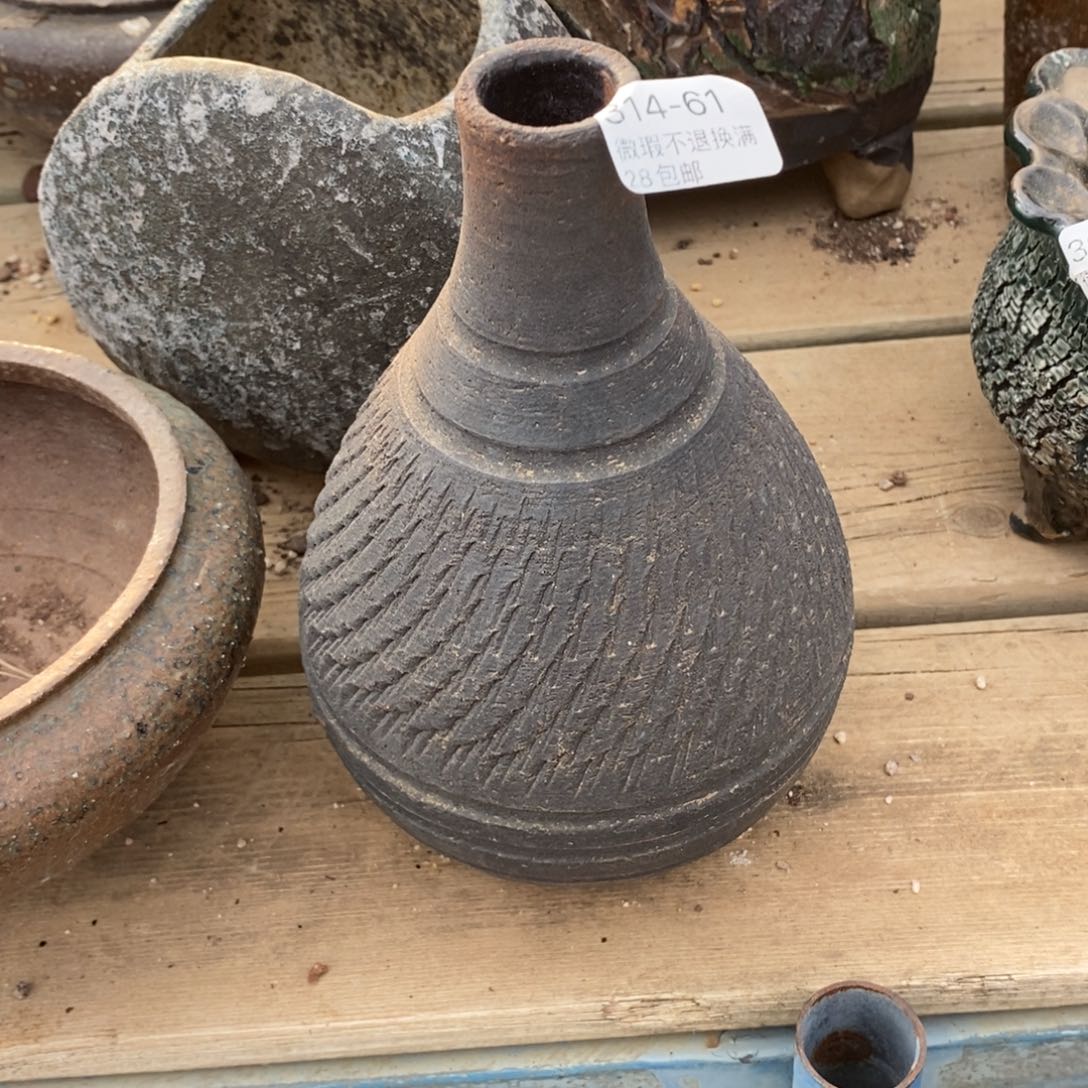 木**兰61号多肉盆一个呀