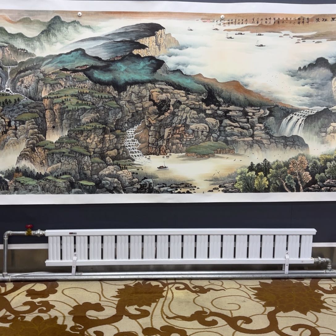 国画泰*卢兆伟李欣主播