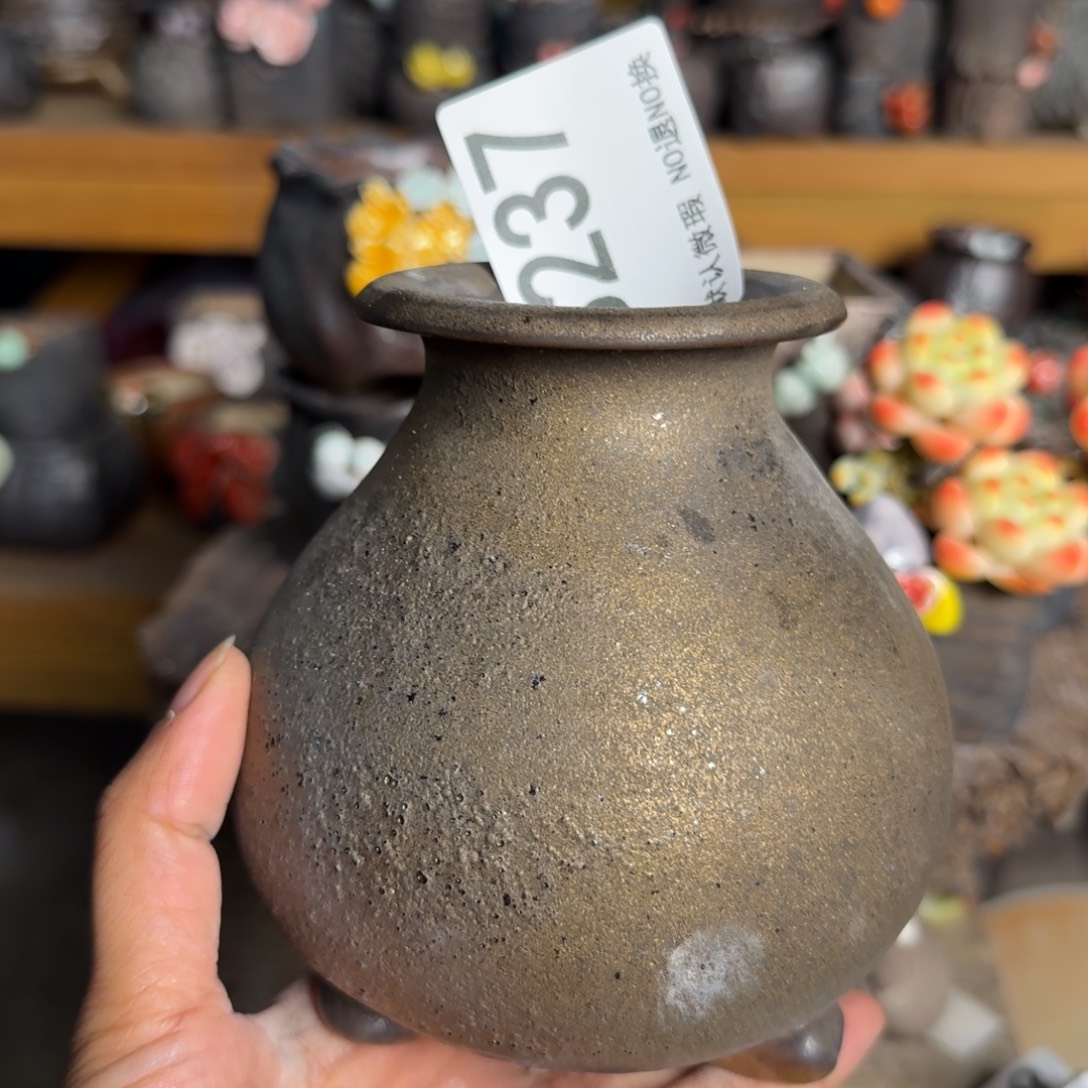 重庆小燕子欢迎大家237