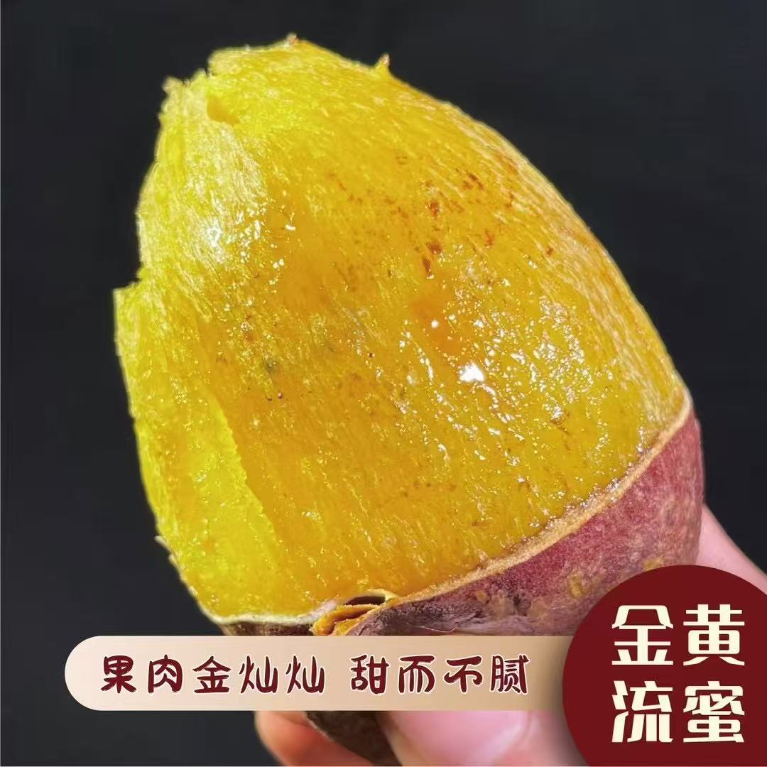  鸣门金时榴莲蜜薯云南高原新鲜现挖软糯香甜粗粮代餐速食  