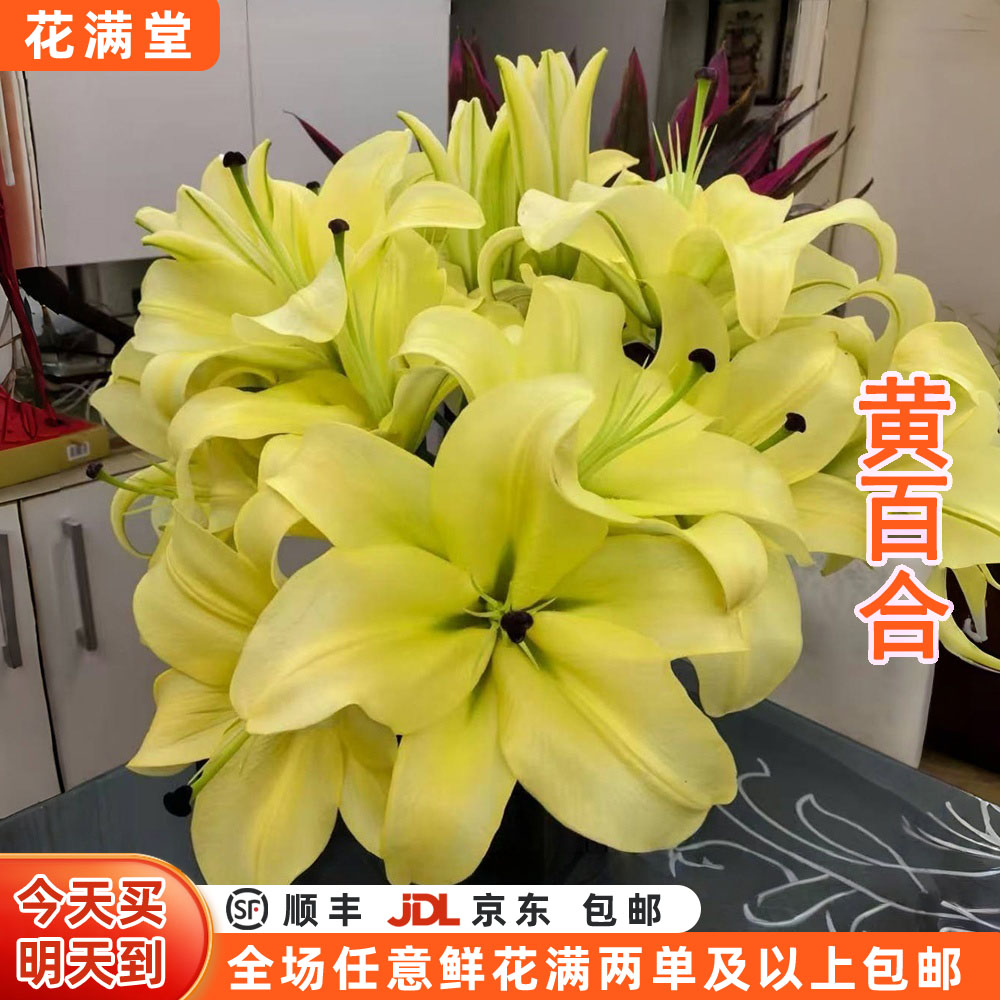 【次日达·黄百合】黄百合6-8头鲜切花·全场两单鲜花顺丰包邮·基地直发·鲜切花批发·家居花DIY·百合次日达单品