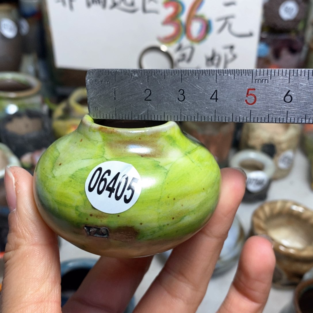 花盆拍5送一个小礼物