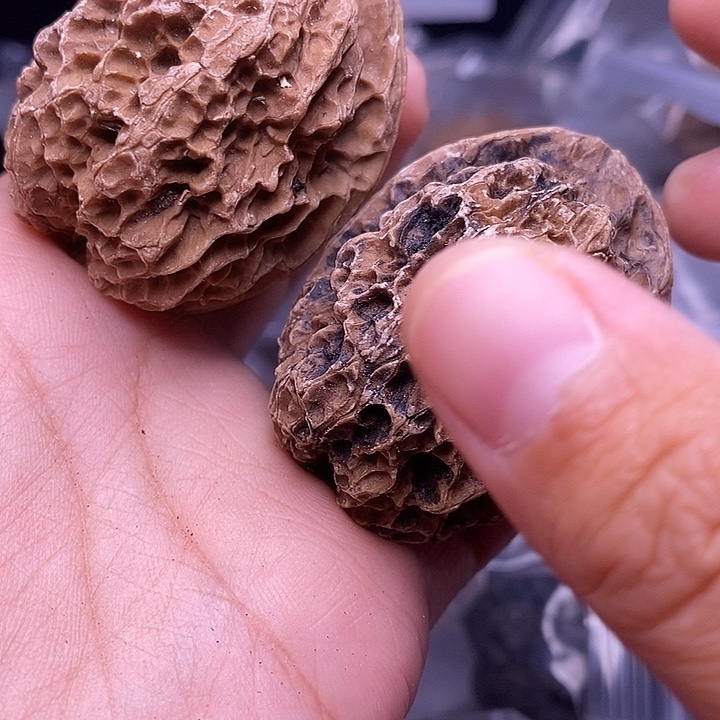 文玩核桃把件   140