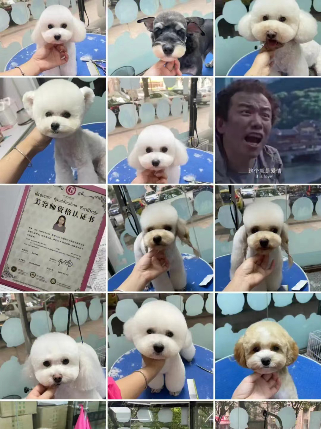 宠物相册定金拍前咨询客服