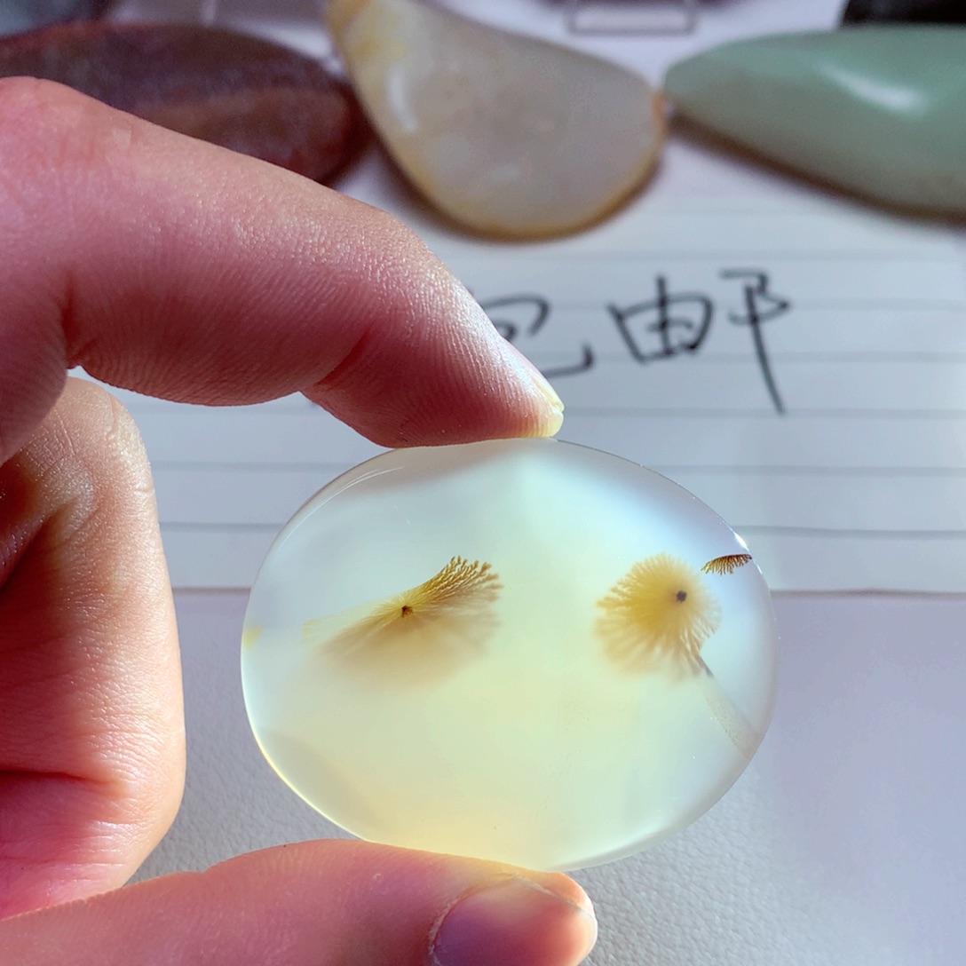 玛瑙/玉髓吊坠(不含链)未镶嵌范*宇