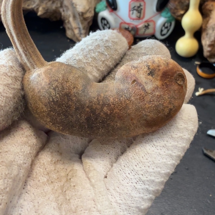 P***a7666666666666677777