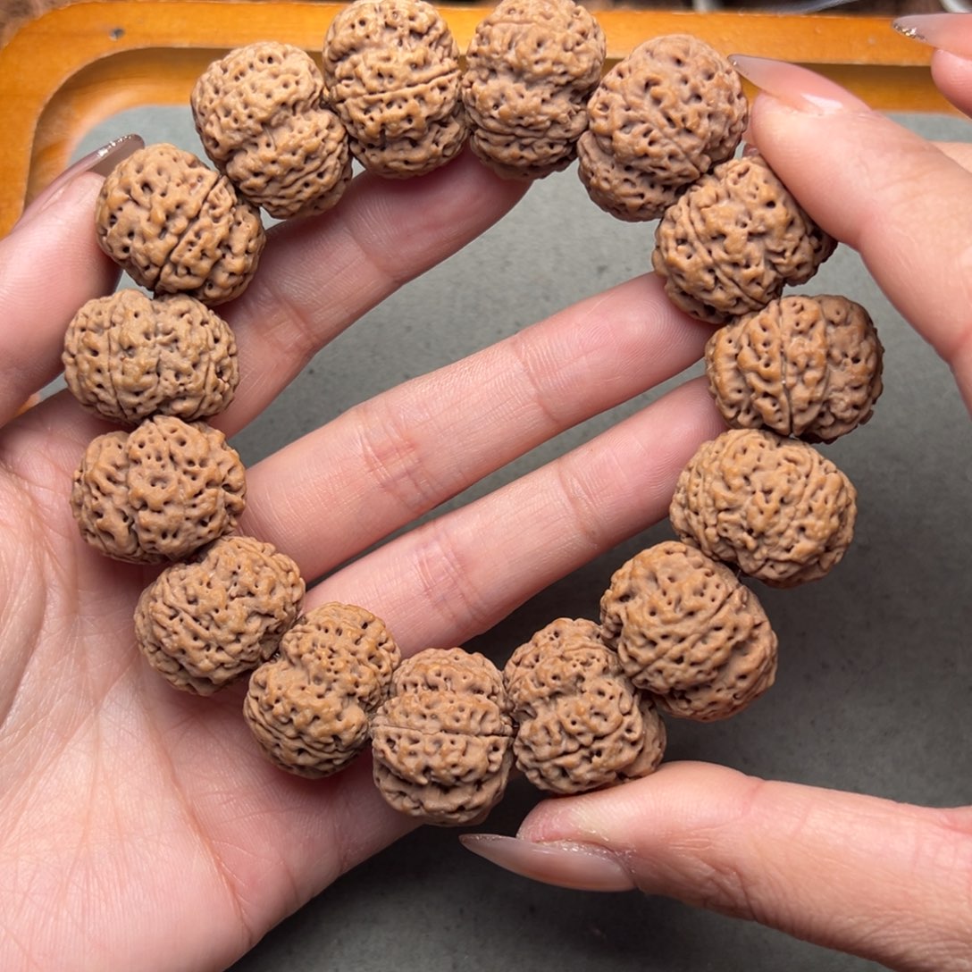 菩提拾*19号金刚菩提龙牙梅花23