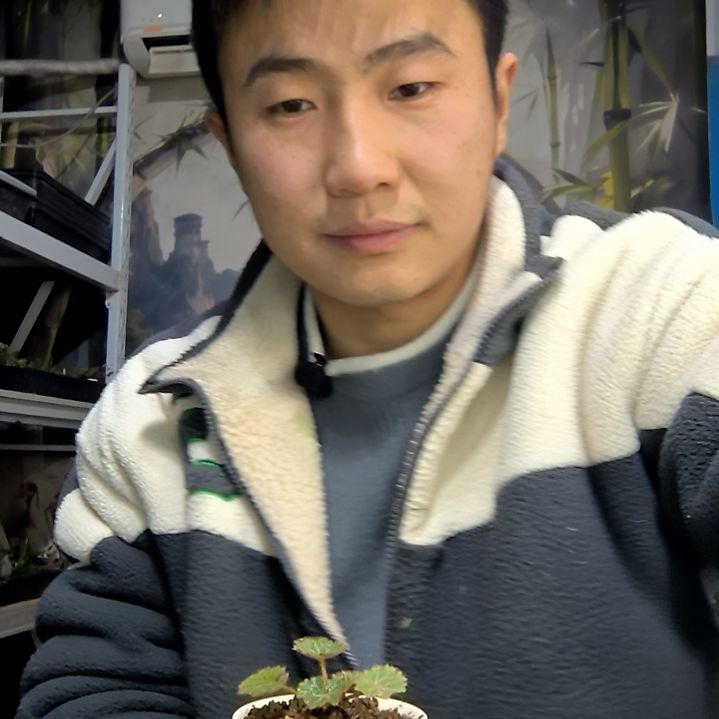 艾***瑞中青园艺一物一拍花28