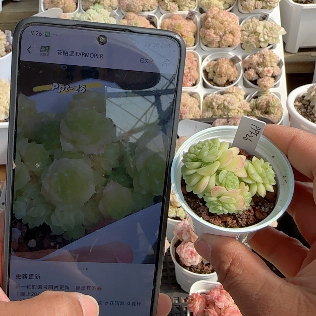 暴***宝【闪购商品】0212-97（ppt-26）