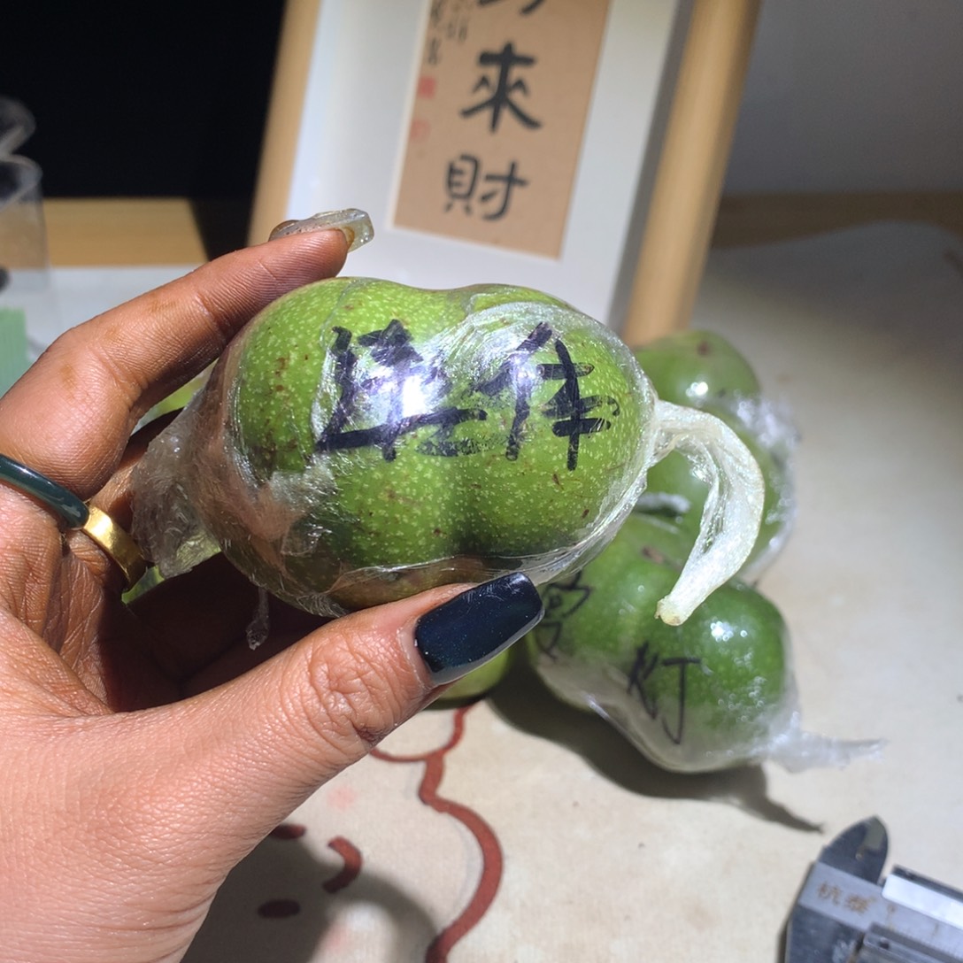 无纺布白狮子连体 定制商品