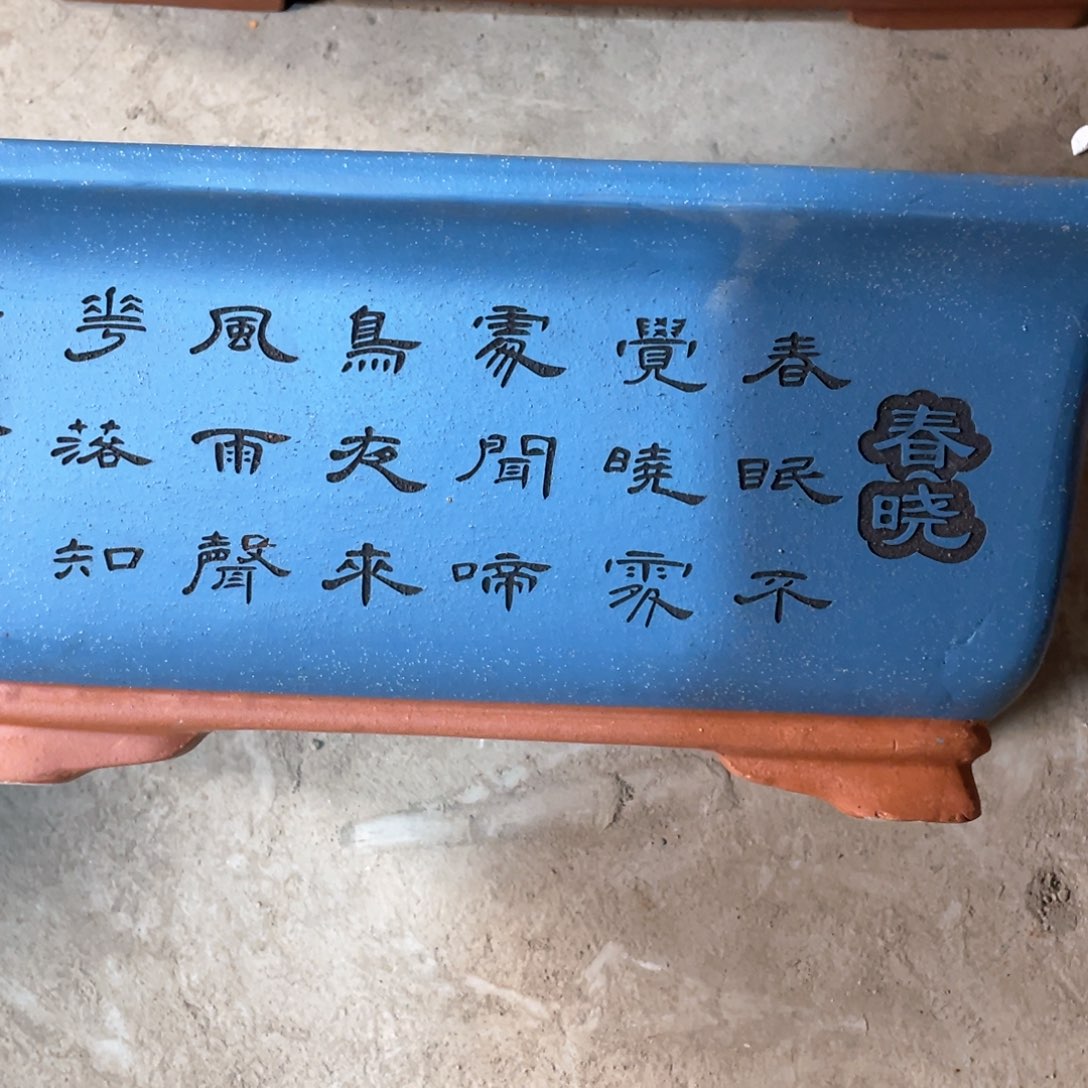 紫砂花盆紫砂花是最