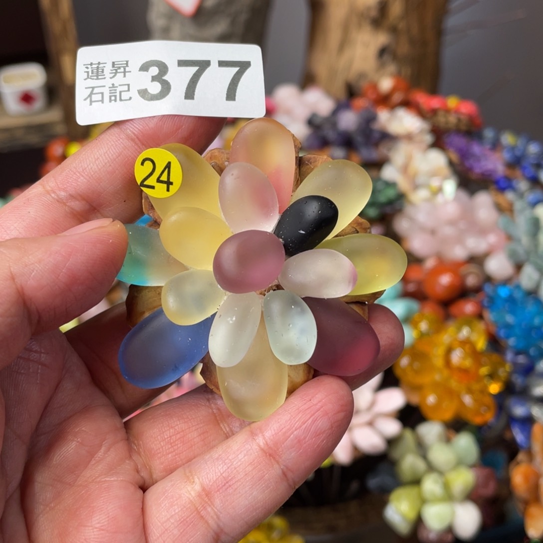 核桃木/黑胡桃（胡桃木）叶****菡377