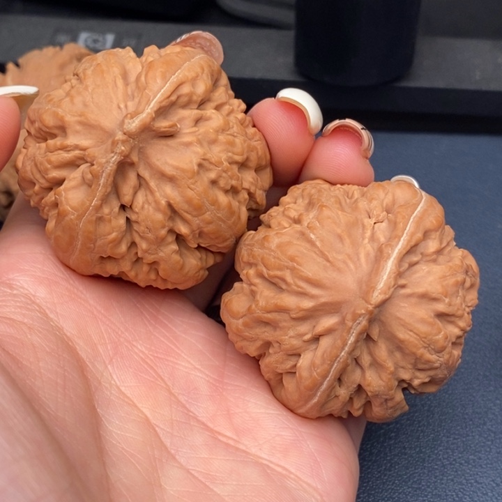 ᥫ***࿐霸王龙全品无刀休