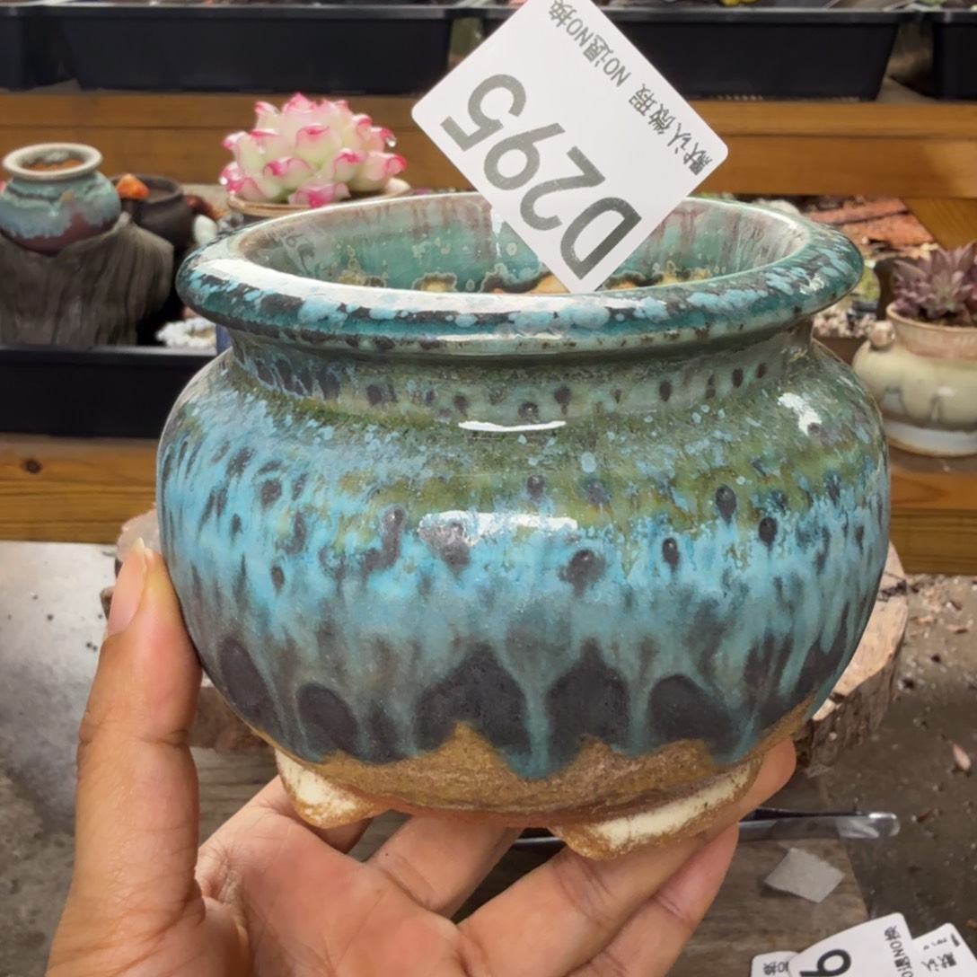 重庆小燕子欢迎大家，295