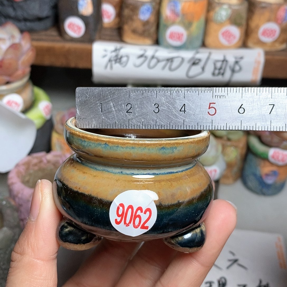 红陶拍5送一个小