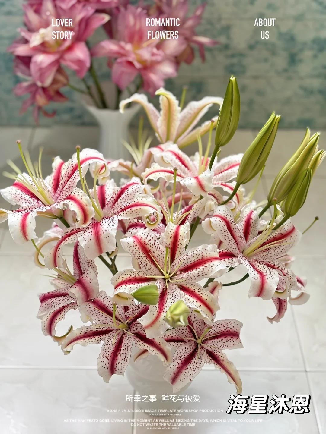 　海星沐恩【一单中通任意两单升级顺丰或邮政空运　20％不售后