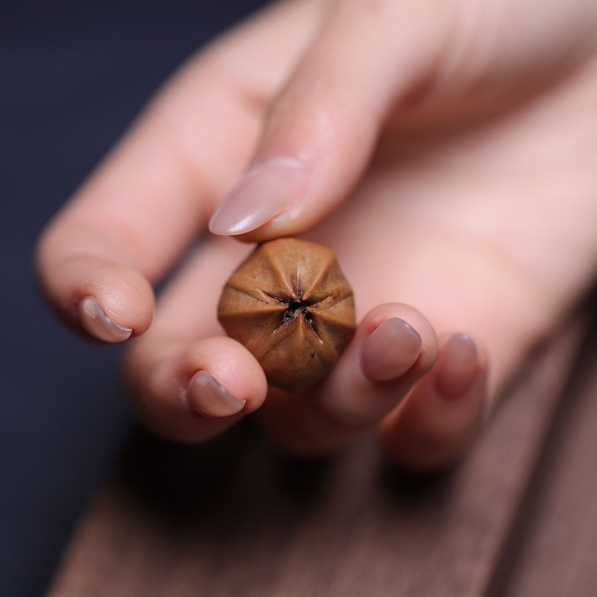 YESHAN 也山铁核 正五花收藏品 铁核橄榄核文玩