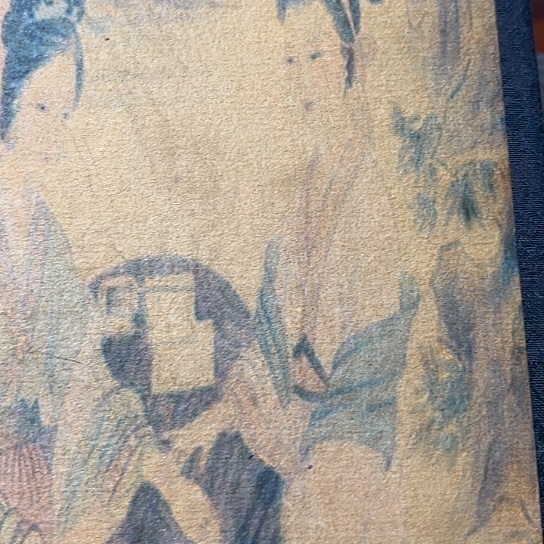 昏***君杂色豆（科檀/科特迪瓦檀木）