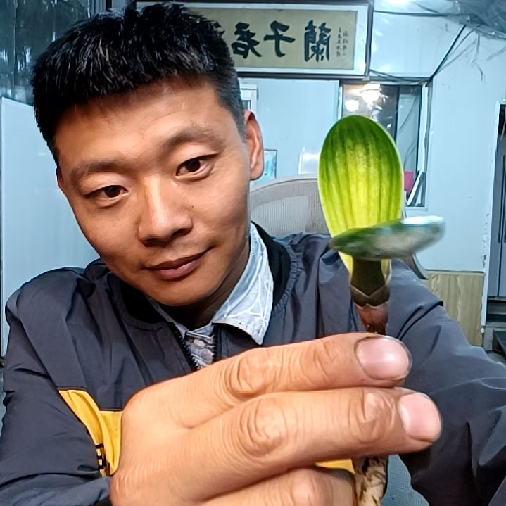 @随缘堂29佛光。。。。
