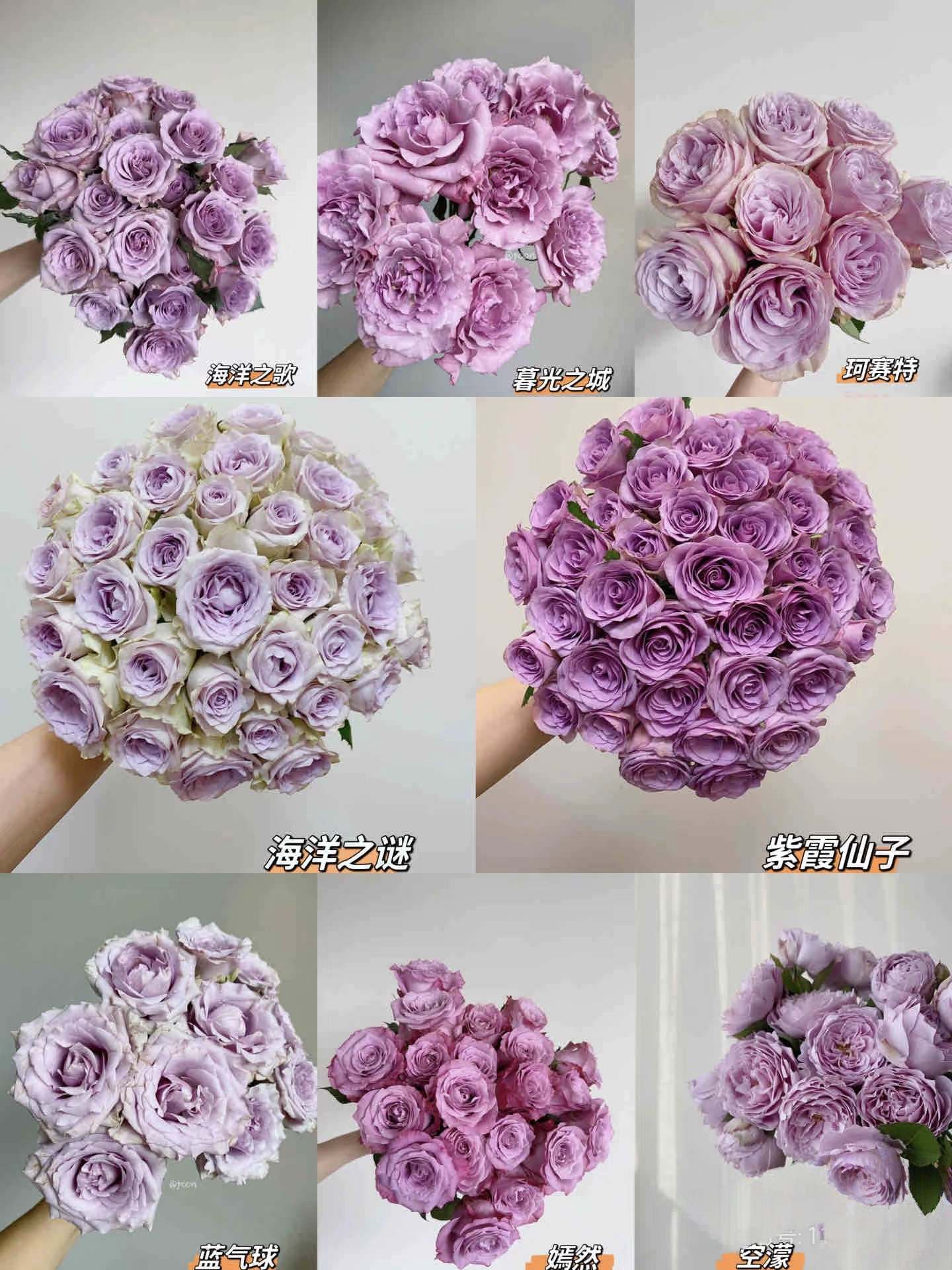 D6【紫玫瑰10枝+洛神+艾莎+风铃+多头康乃馨+折射+洋桔梗+非洲菊】