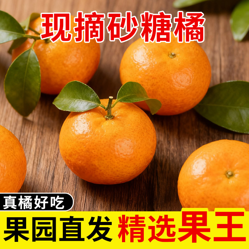 【包邮】云南玉溪金秋砂糖橘蜜桔柑橘鲜甜多汁原产地新鲜采摘