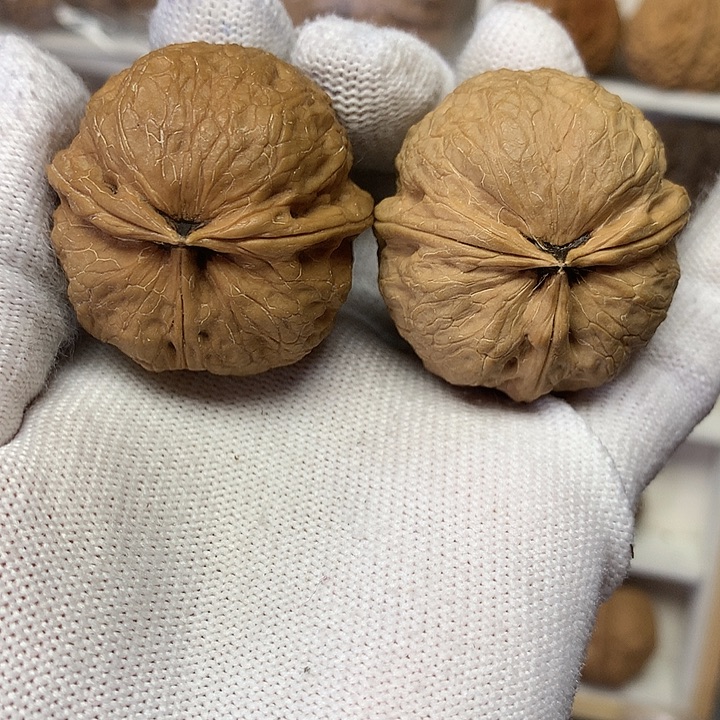 开***心核桃蚂蚱头三棱17号