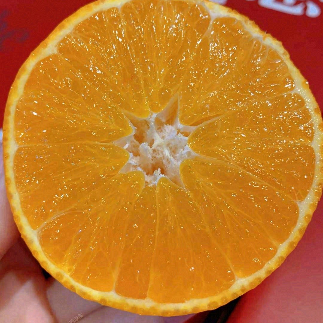 爱媛果冻橙4斤8～10个（细嫩化渣，清香爽口）