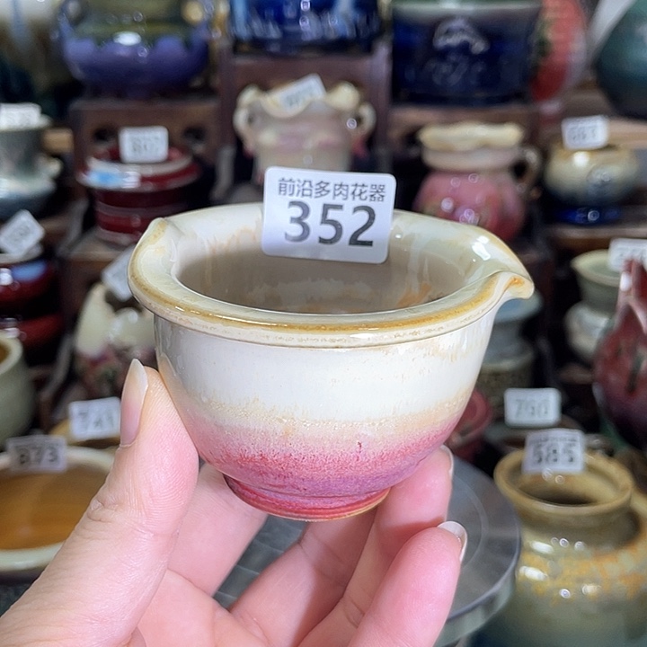 红陶内口径6高度5