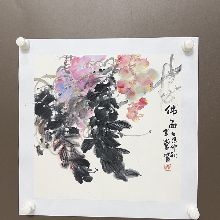 国画郁金蕾555555555555