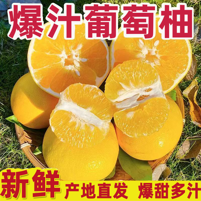 【阿飞】正宗黄金爆汁柚葡萄柚清甜多汁当季新鲜贵族水果