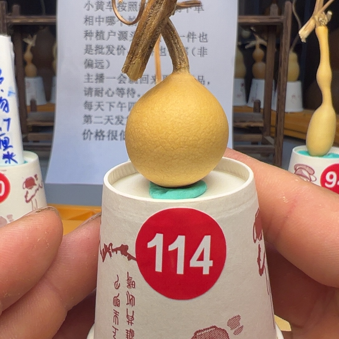 闪电购自助下单编号114