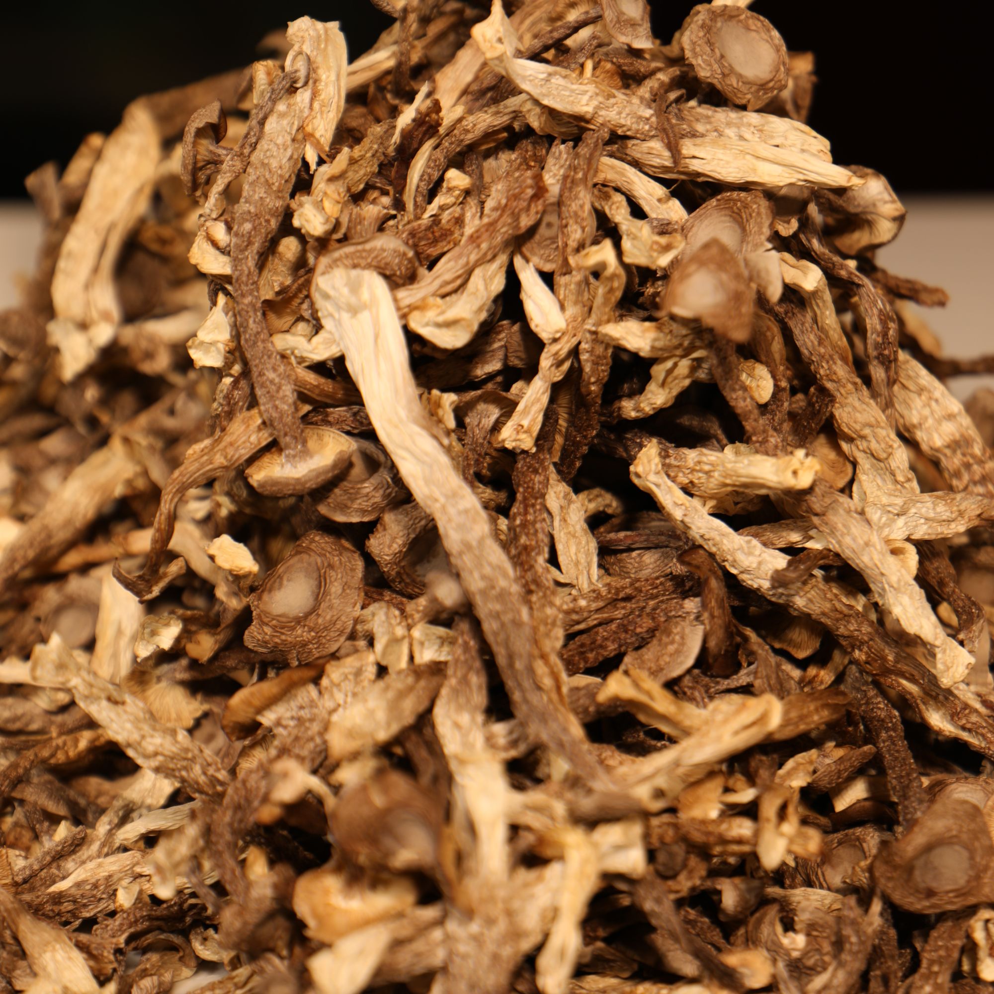 鹿茸菇农家晾晒鹿茸菇炒肉凉拌美味可口