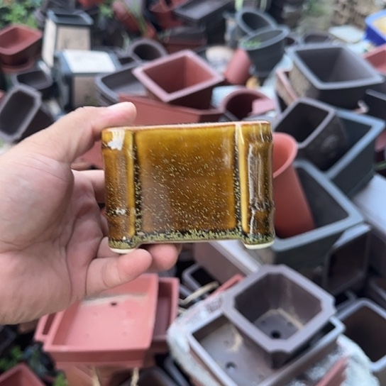 我不在这里吃饭的人太吵