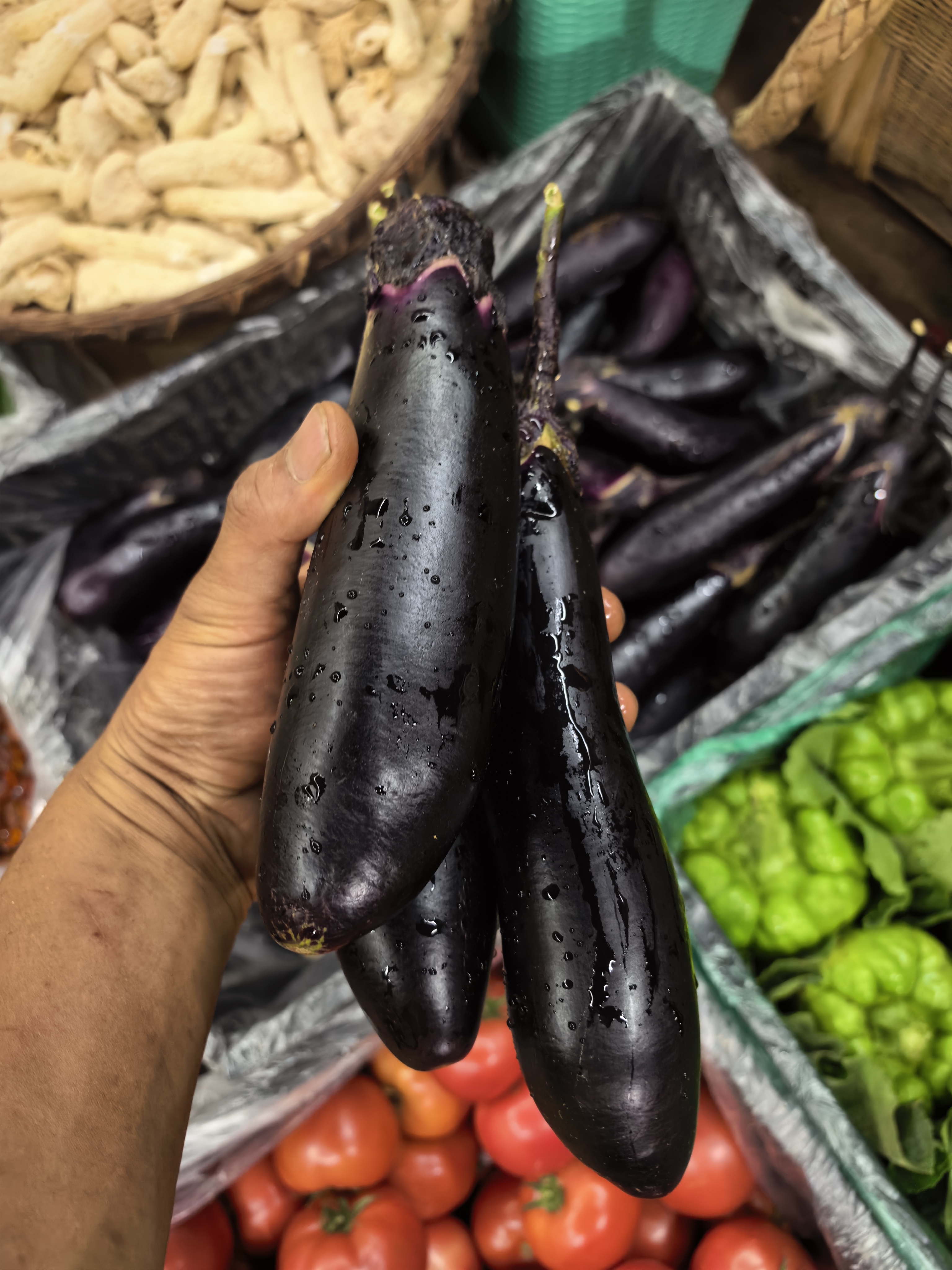 云南高山农家露天刘大爷家土茄子