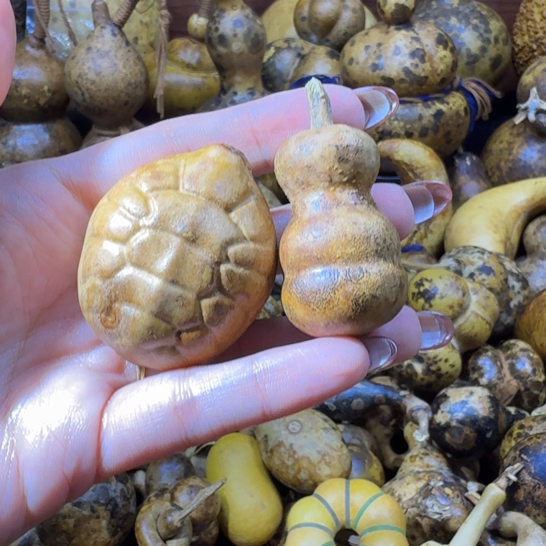 葫芦忽略hhuhhhjj