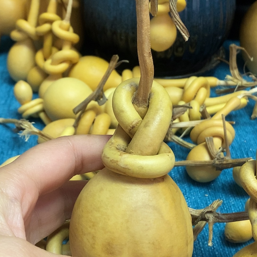 宁***诺一把葫芦便宜漏了