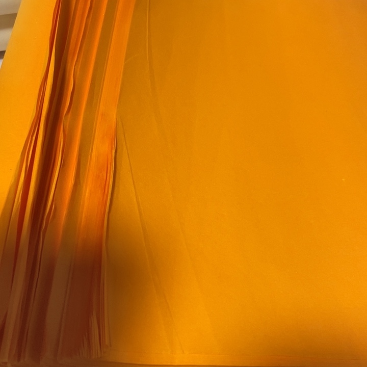 四尺对开佛教黄描龙处理的