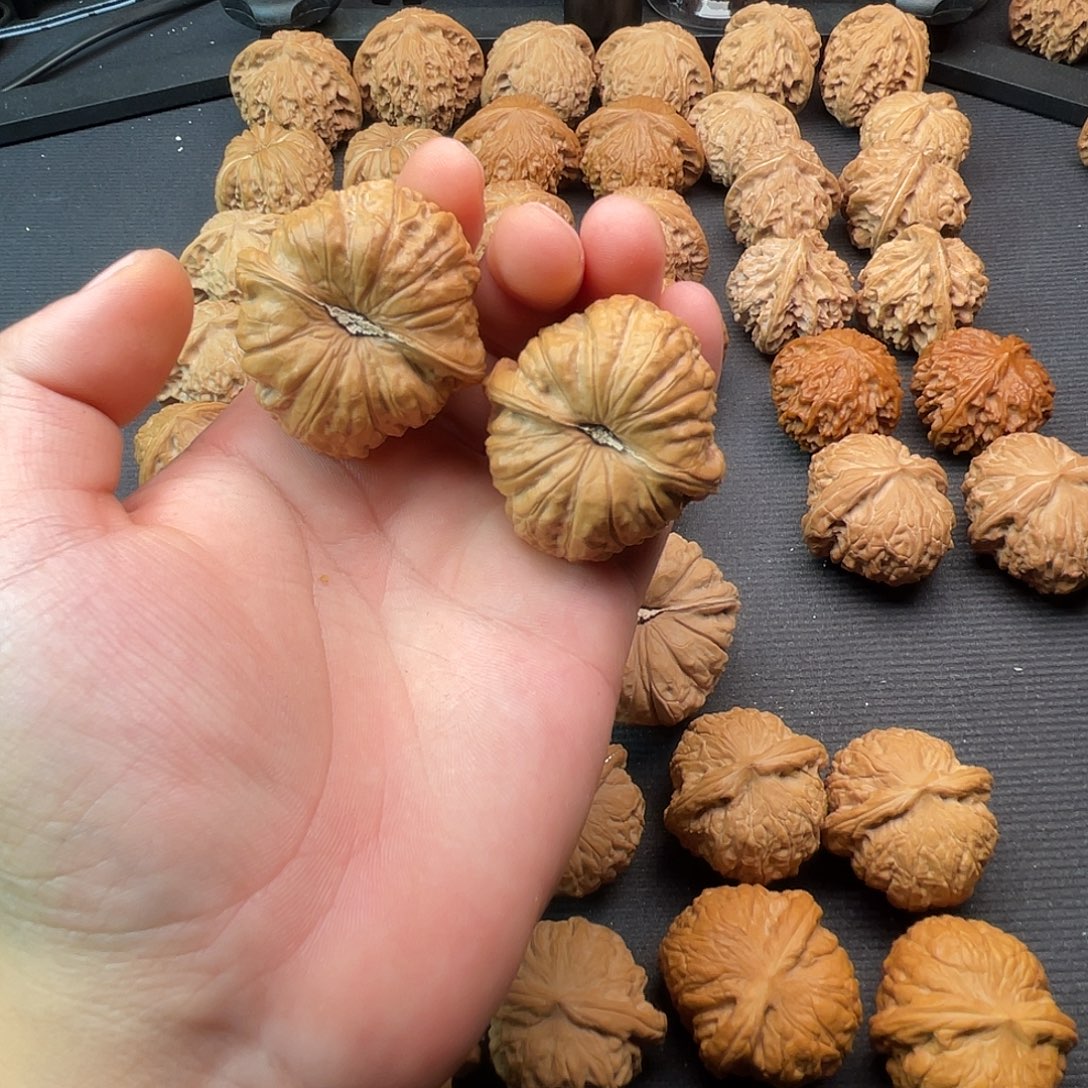 ℳ***ღ吊坠文玩核桃南瓜墩