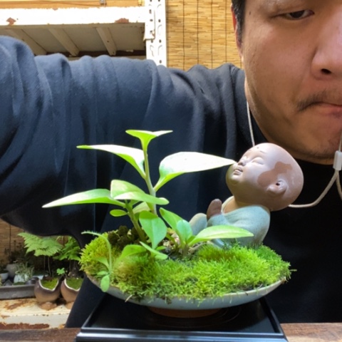 红陶一物一拍所见即所得135