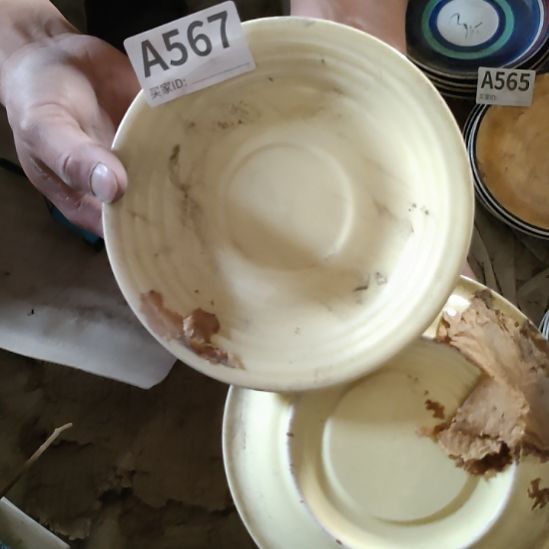 陶瓷强化瓷四支平盘