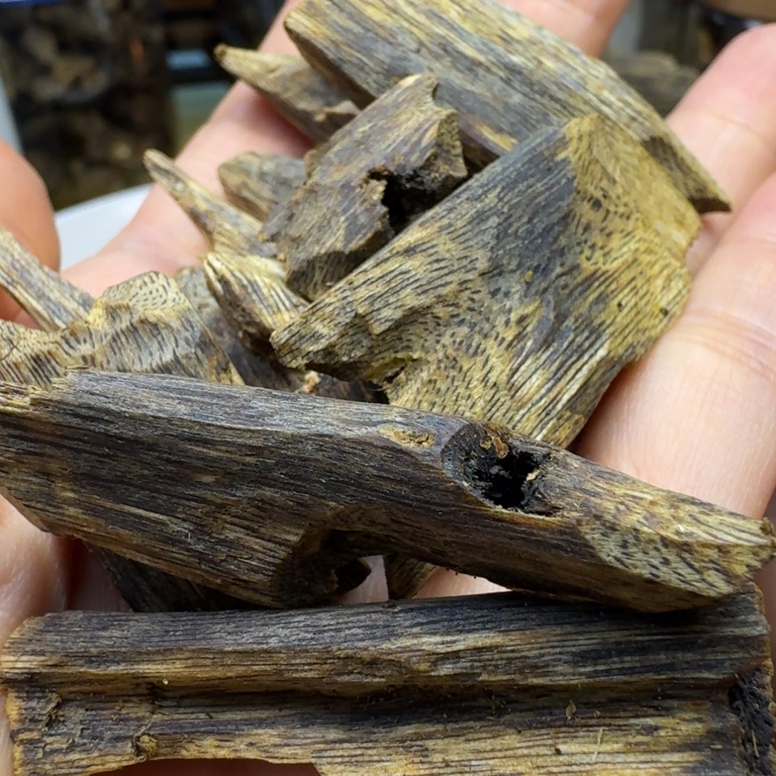 沉香沉香碎屑红骨凹身高油块料50g