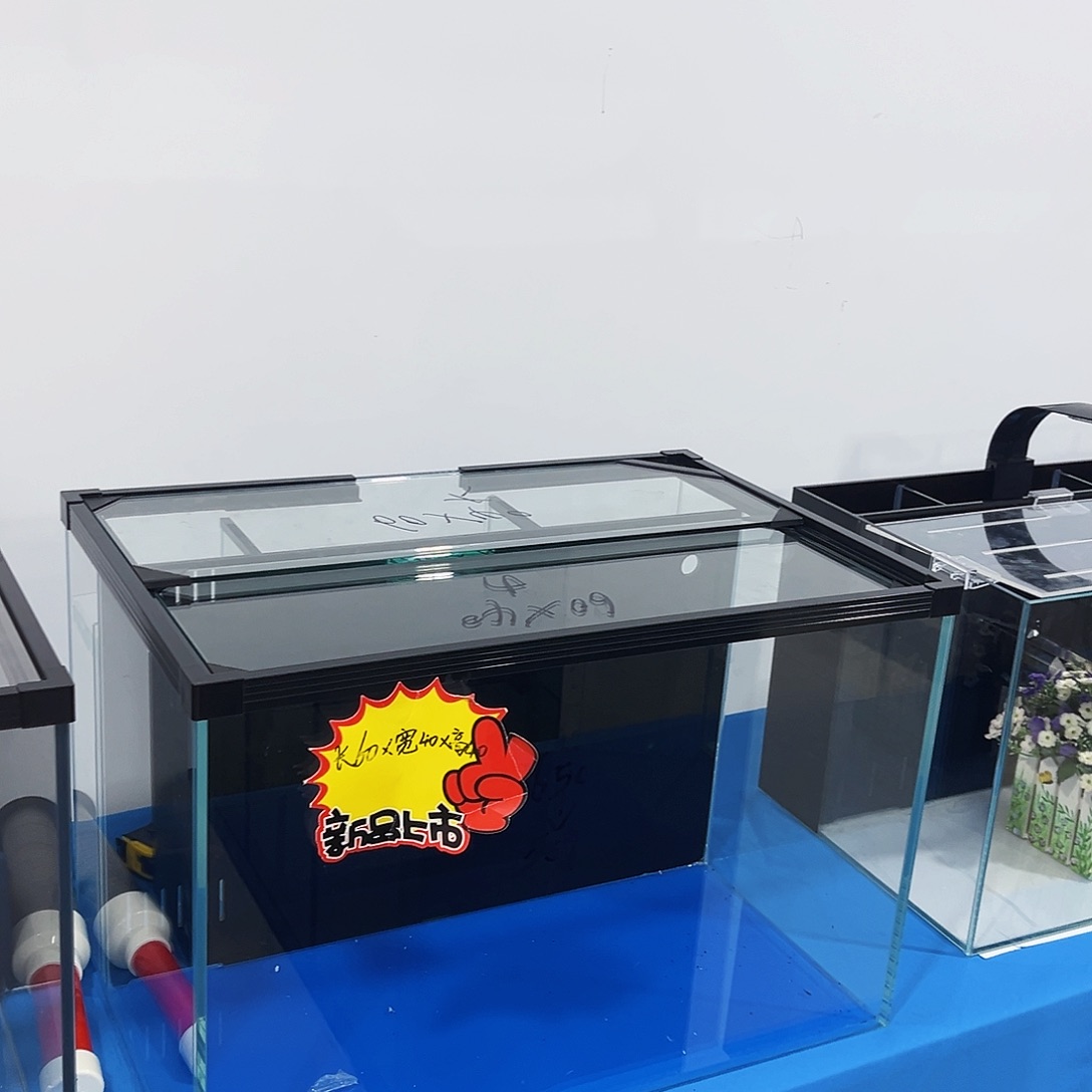 玻璃达*60.4040背新款鱼马桶