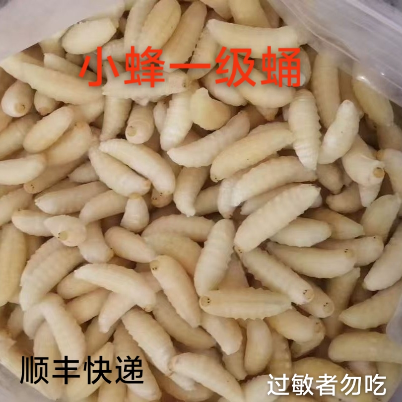 新鲜树蜂黄蜂蛹野生马蜂蜂蛹可油炸的下酒美食